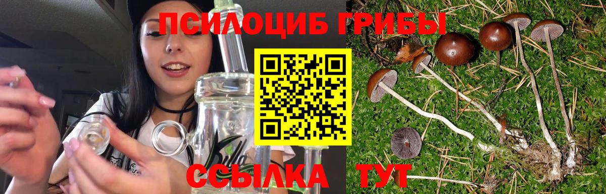 Псилоцибиновые грибы мухоморы  Псилоцибиновые грибы ЛСД  Вход с VPN  Аргун 